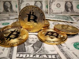 سعر البيتكوين